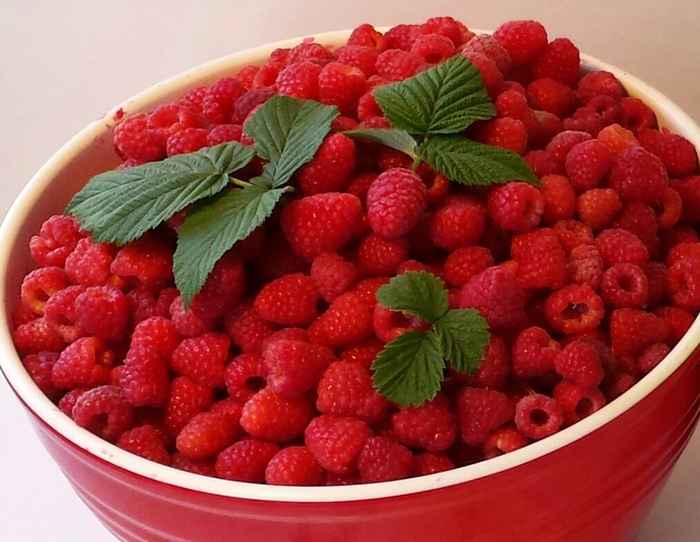 No Cook Raspberry Freezer Jam