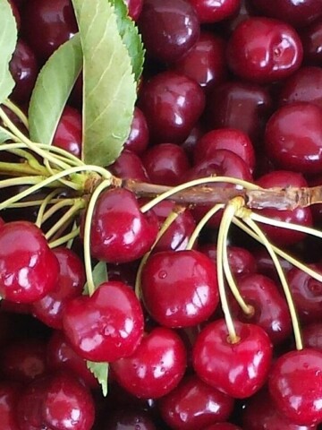 How to Freeze Cherries (Fruit)