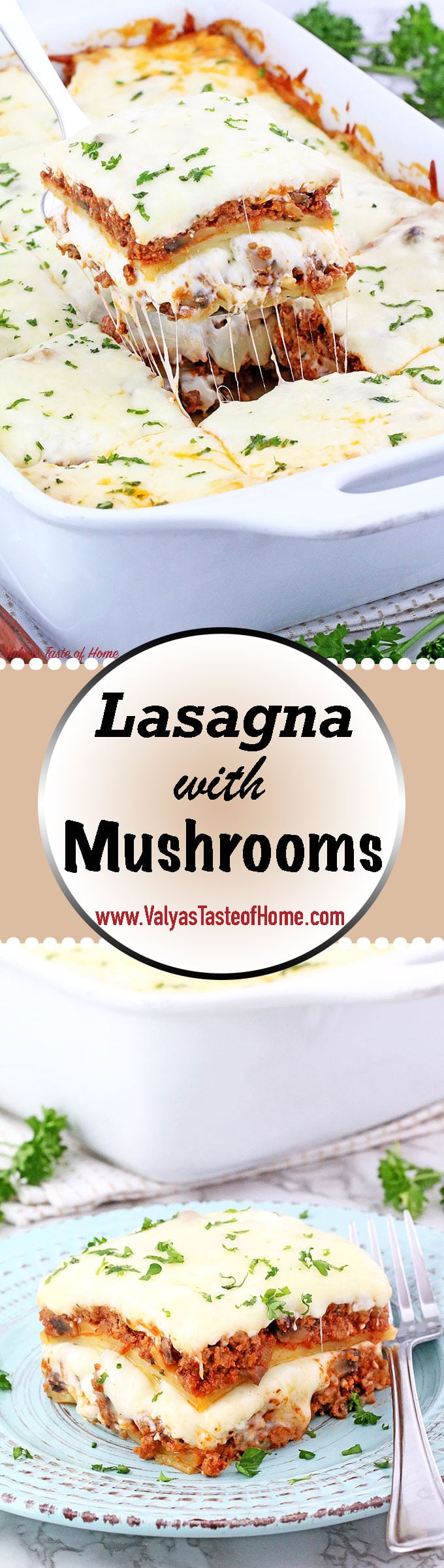 Lasagna Recipe In Urdu Without Oven
