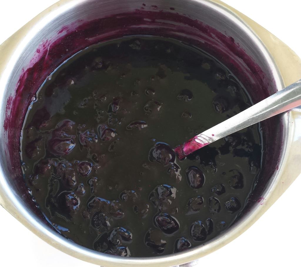 Blueberry Coulis Sauce