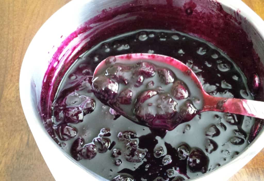 Blueberry Coulis Sauce