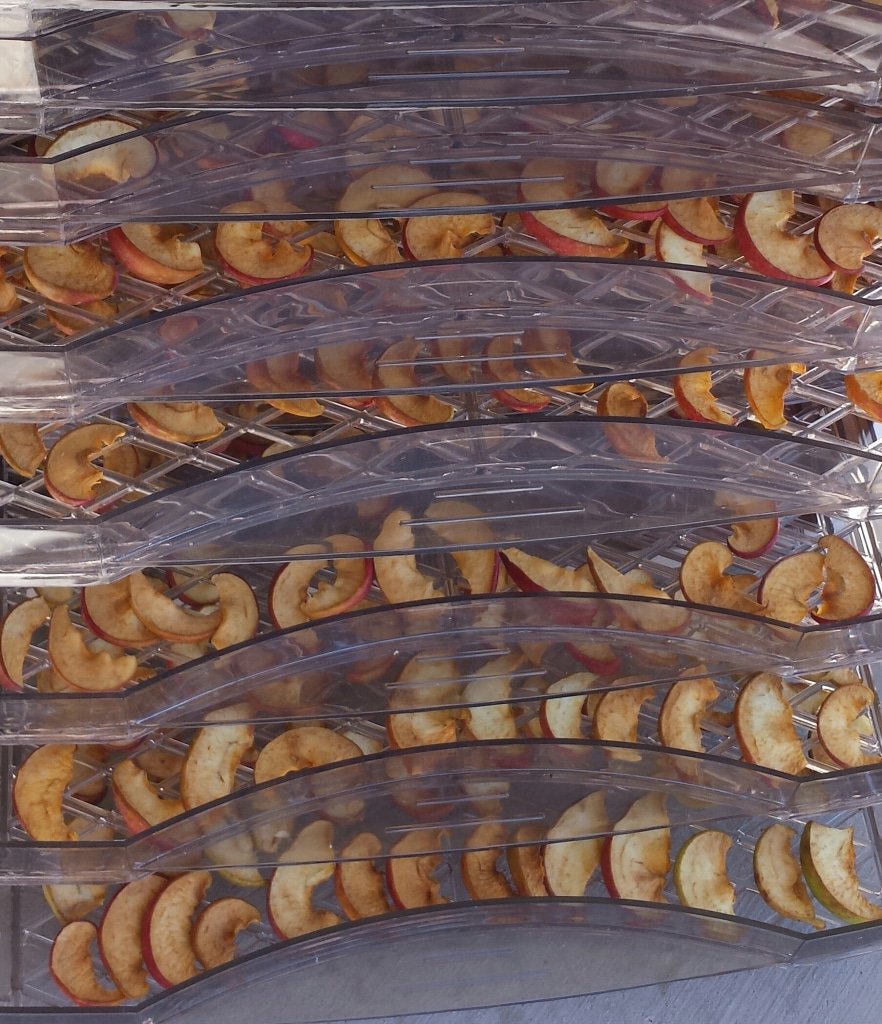 Dried Apple Chips