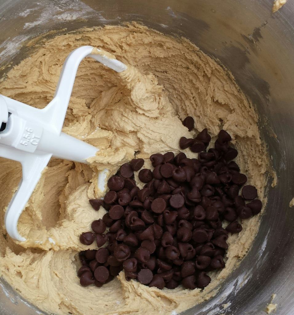 Soft and Chewy Chocolate Chip Cookies