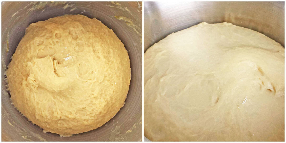 Cover the bowl and let it rise in a warm place for 1 ½ to 2 hours.