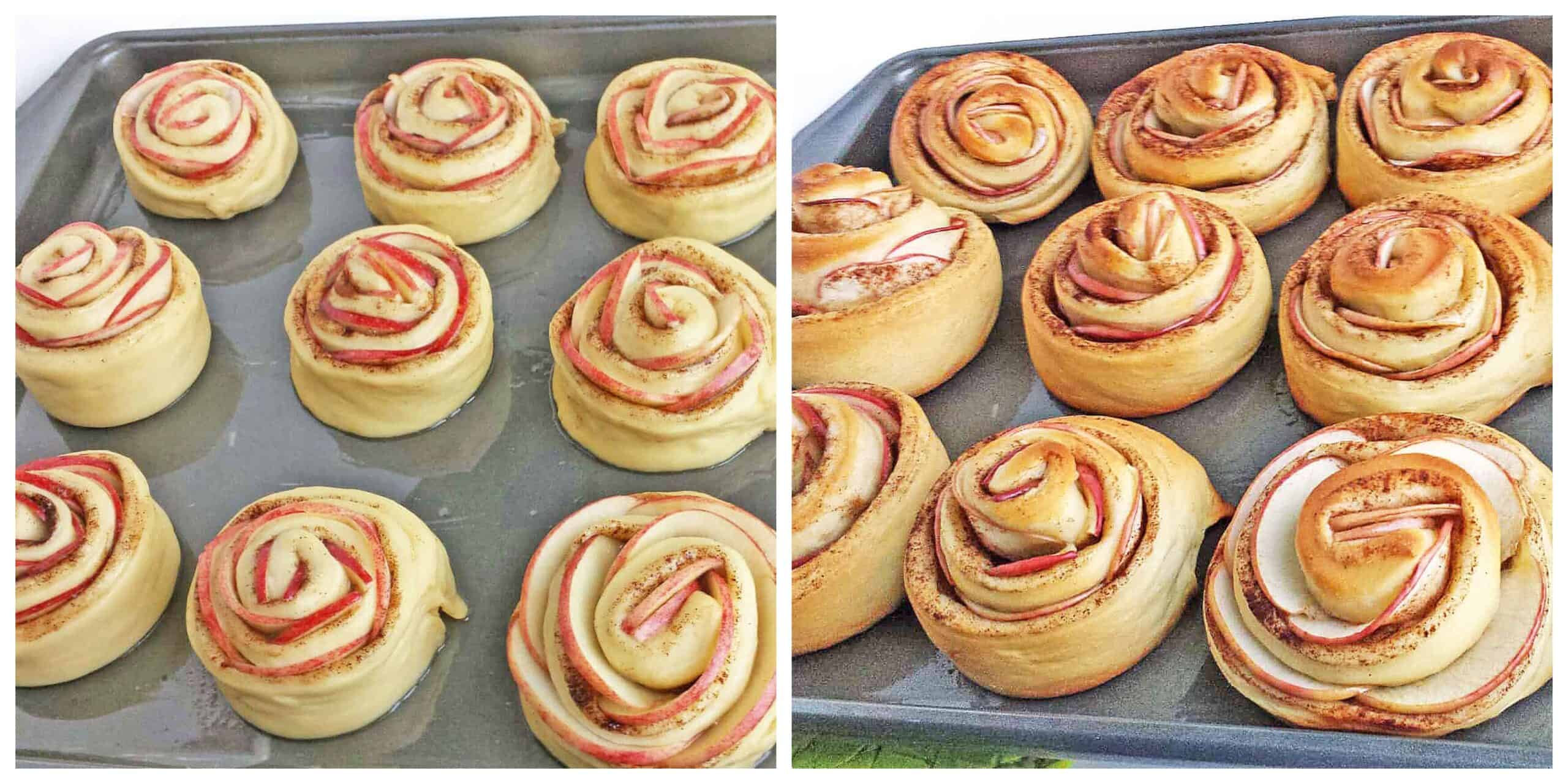 Let shaped rolls rise in the a baking pan for about 30–45 minutes.