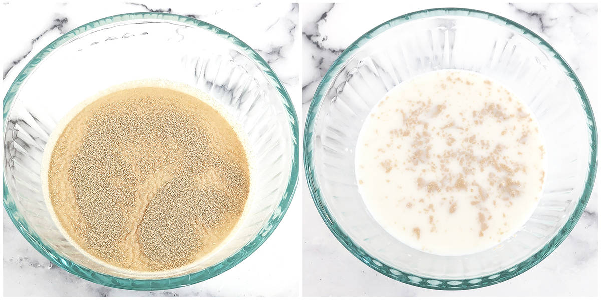 How to make dough for the Super Soft Cinnamon Rolls Recipe