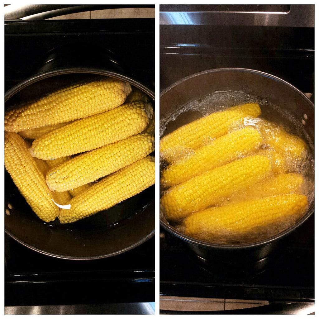 Cooked Corn on the Cob
