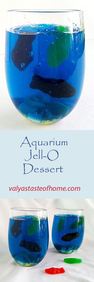 Aquarium Jell-O Dessert