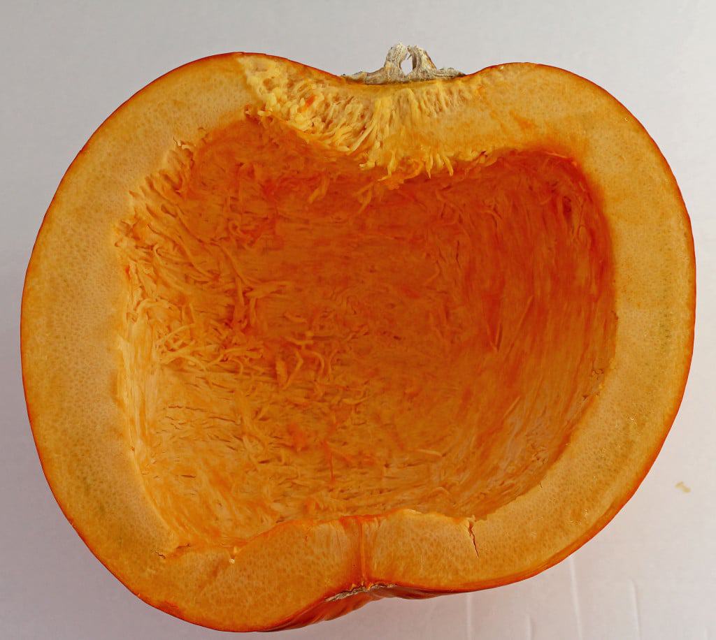 Pure Homemade Pumpkin Puree