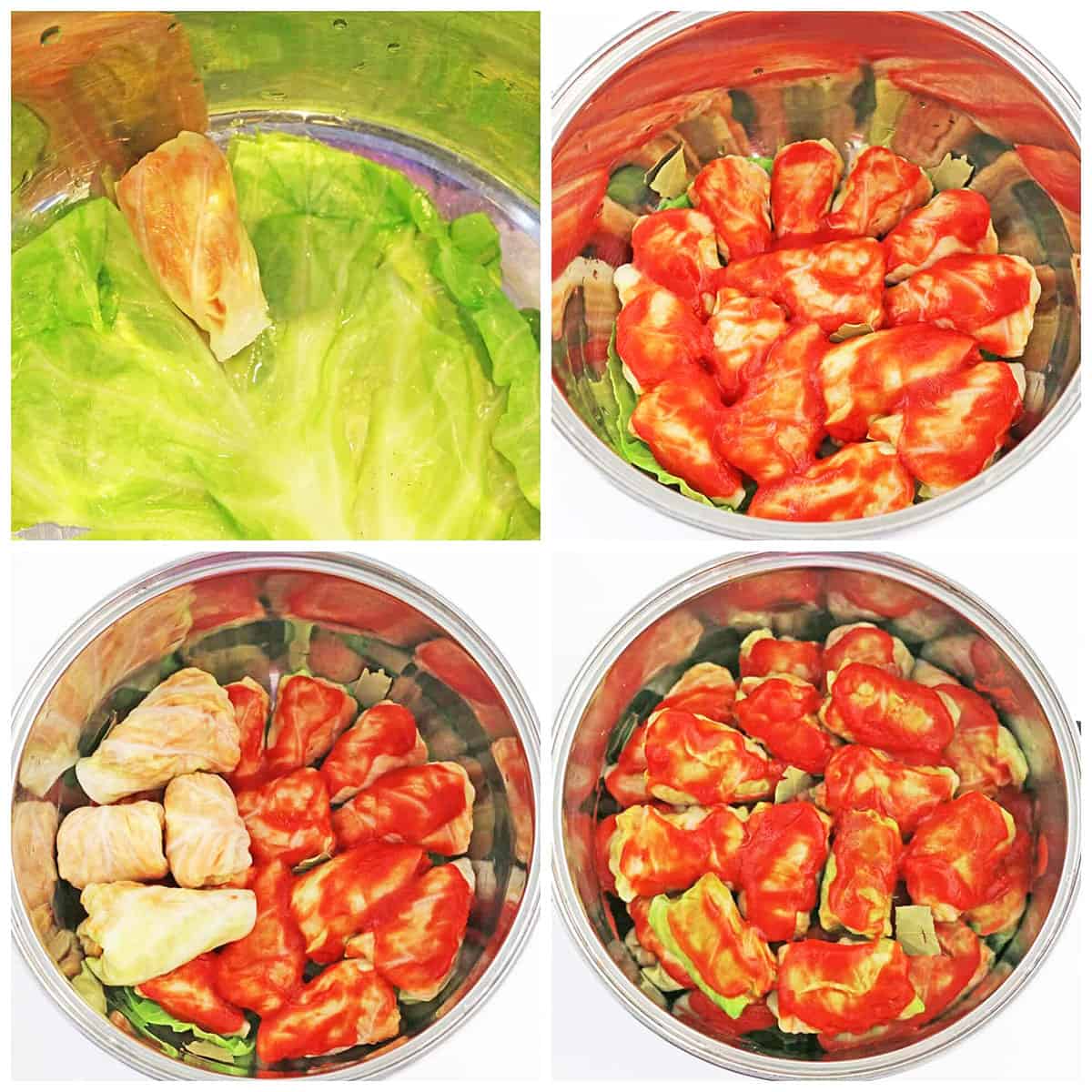 Arrange the cabbage rolls evenly and drizzle with tomato sauce.