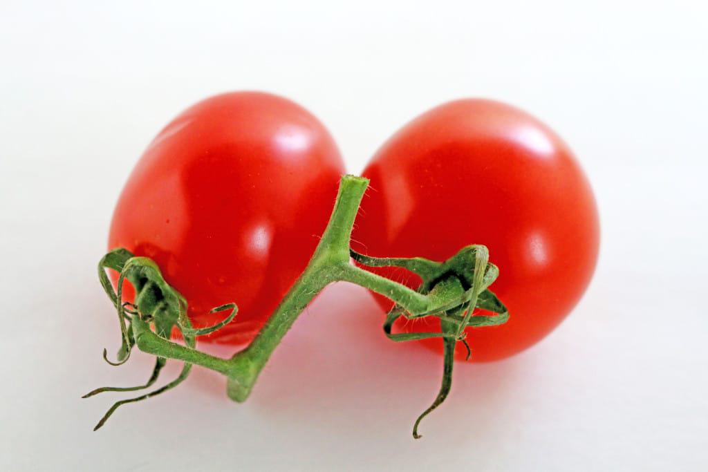 Tomato Appetizers