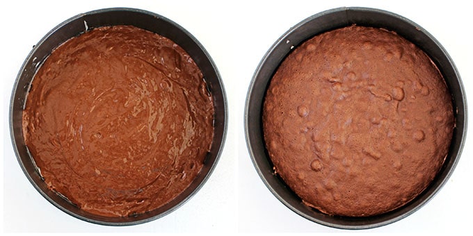 Will A Sponge Cake Deflate Will A Sponge Cake Deflate