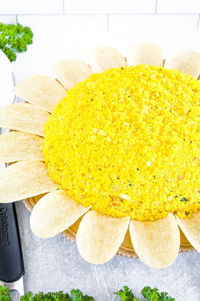 Sunflower salad is one of the most refreshing, nutritious, and delightful dishes that you can add to your recipe collection!