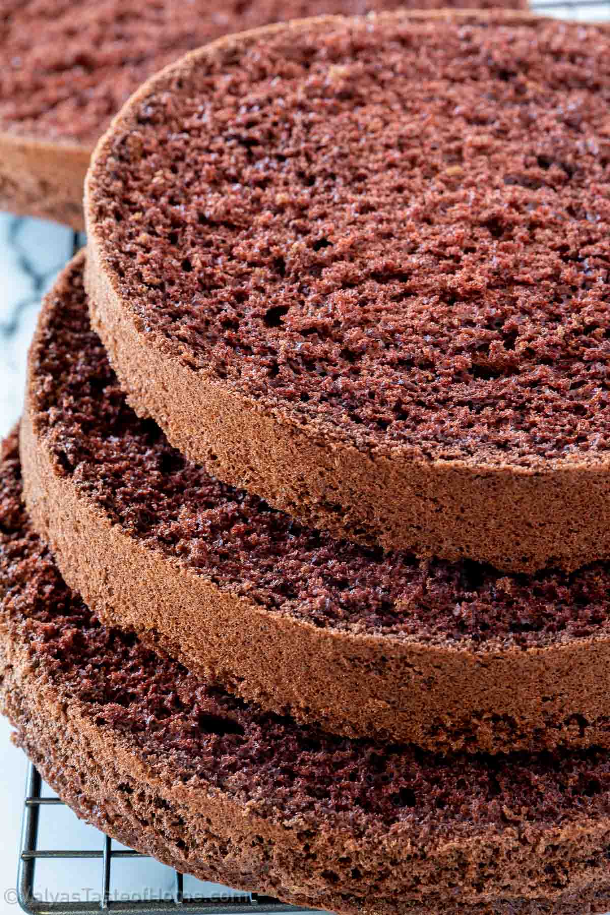 Discover the secret to making the perfect light and fluffy chocolate sponge cake, which melts in your mouth without being overly sweet or rich. 