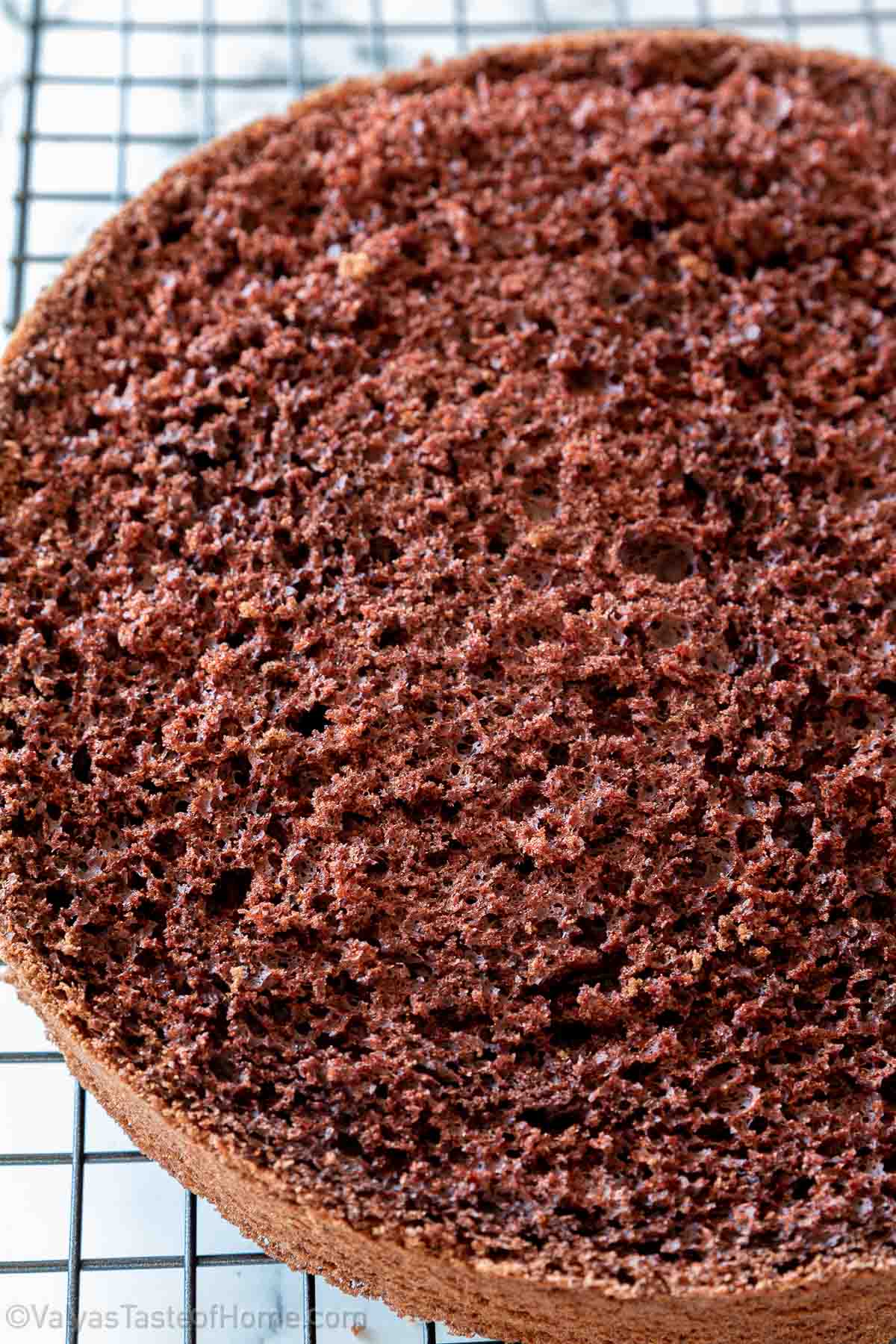 The Best Chocolate Sponge Cake is light and airy, moist and tender, rich and chocolatey. Every chocolate-lover dream come true!