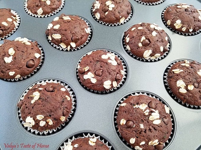Honey Chocolate Zucchini Muffins 