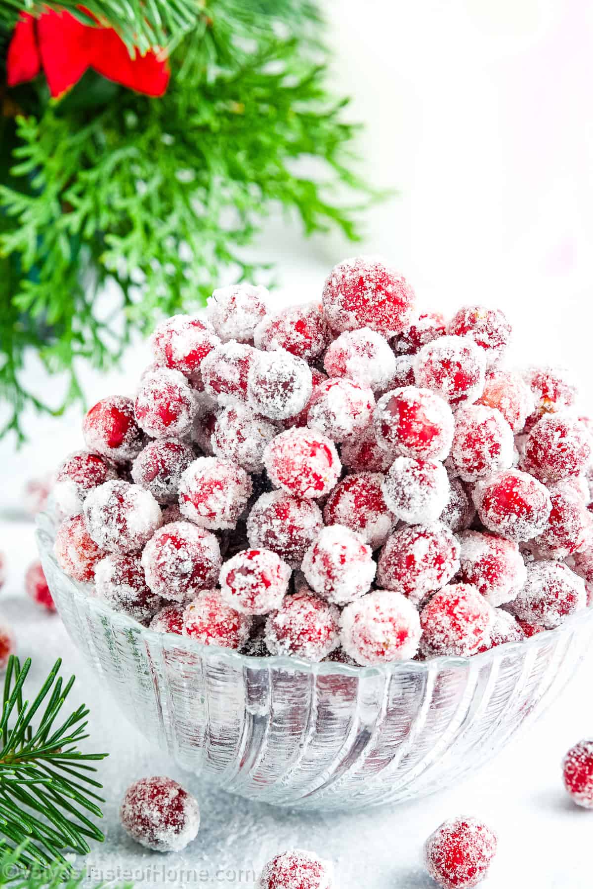 The berries themselves are a bit bitter so the sugar coating balances with sweetness and make them look beautiful.