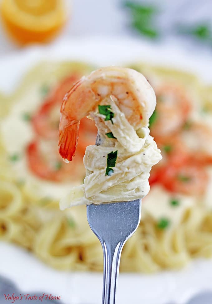 Shrimp Alfredo Fettuccini Pasta Recipe 