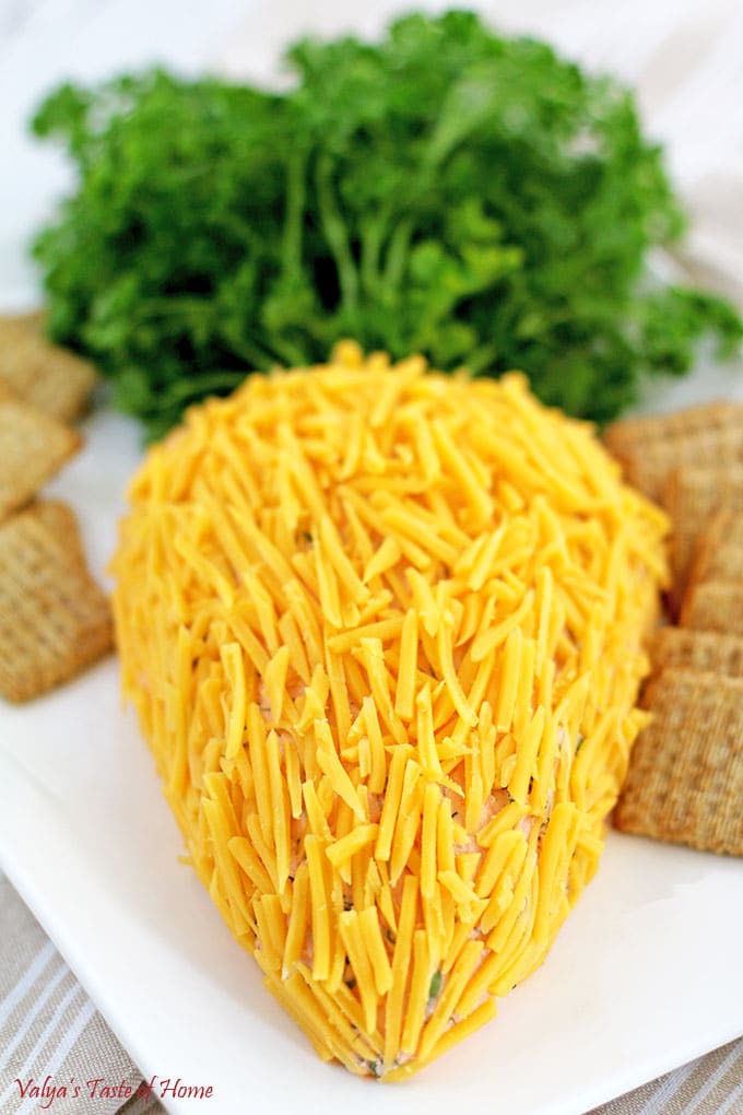 Carrot Cheese Spread with Smoked Salmon Appetizer