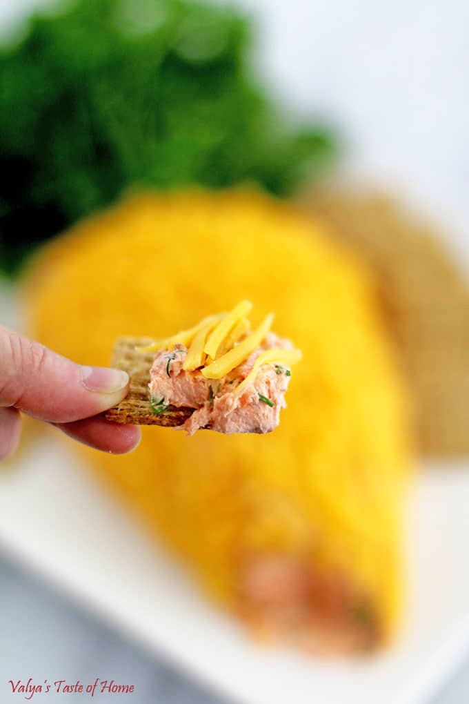 Carrot Cheese Spread with Smoked Salmon Appetizer