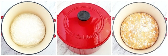 Cover the cast iron pot with the lid and bake it in the oven on the middle rack for 30 minutes.