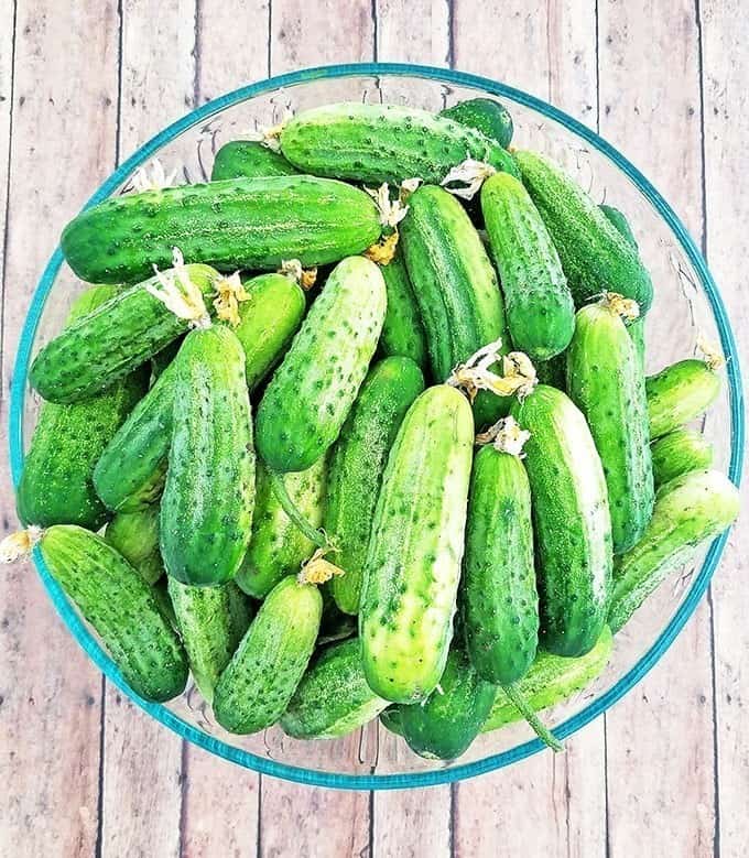 Easy Canned Dill Pickles Recipe