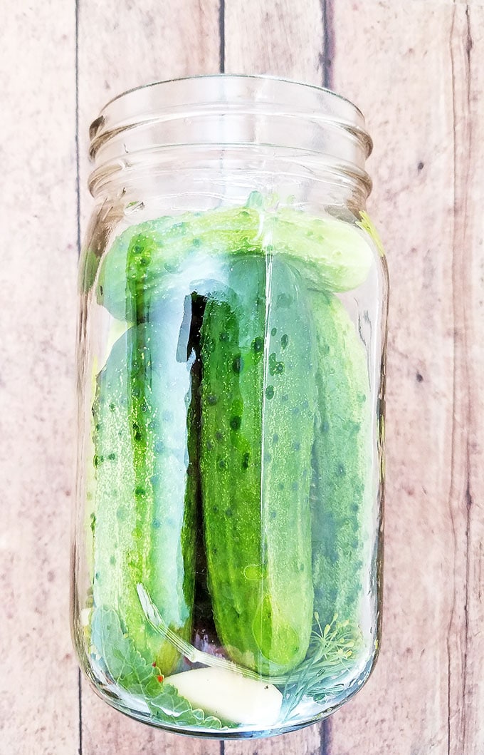pack the rinsed cucumbers into each jar as compactly as possible without denting or otherwise damaging them.