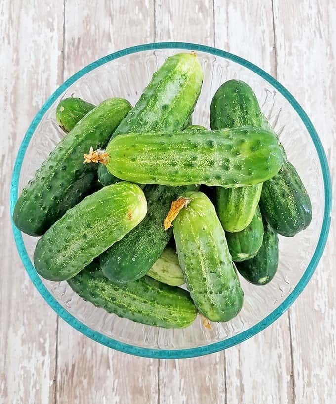 garden cucumbers to Make Refrigerator Pickles at Home