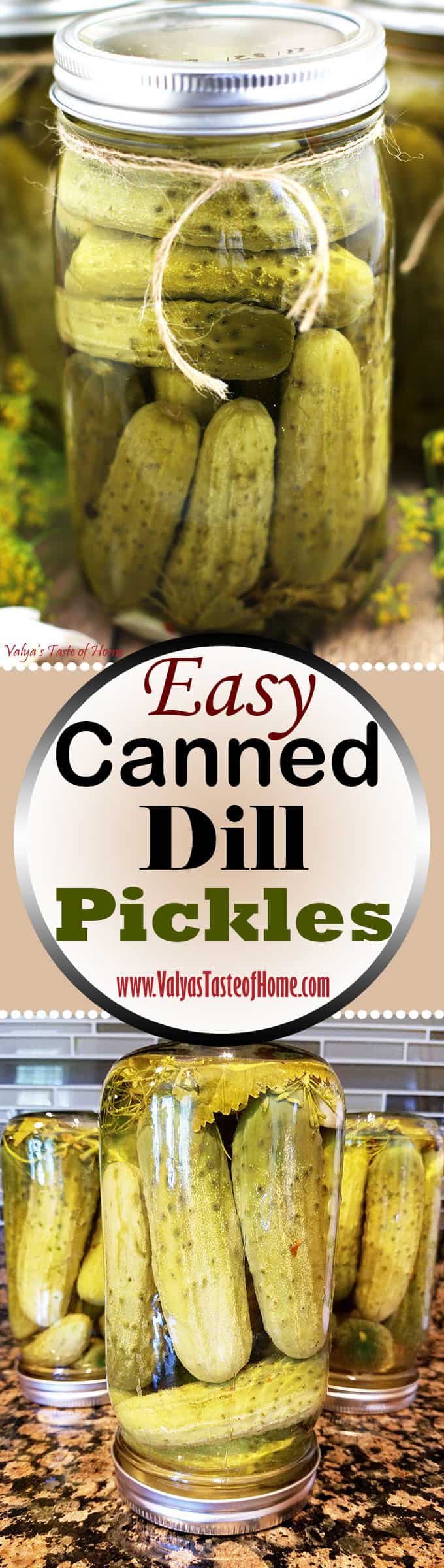 Easy Canned Dill Pickles Recipe