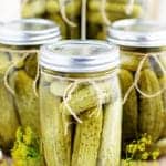 Easy Canned Dill Pickles Recipe
