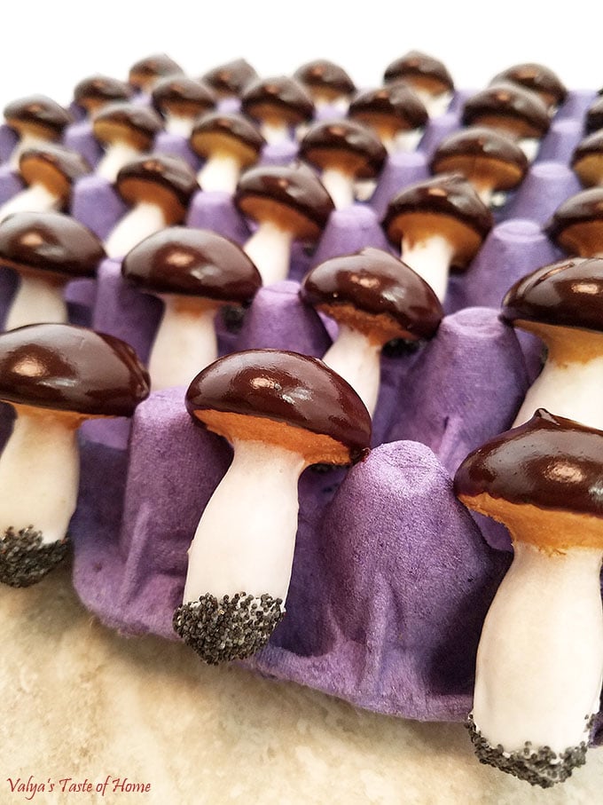 baked mushrooms cookies, beautiful dessert, butter, Christmas cookies, cocoa chocolate chips ganache, decor cookies, decor dessert, egg whites glaze, fall baking, home eggs, Mushroom Cookies Recipe, organic flour, organic sugar, poppy seeds