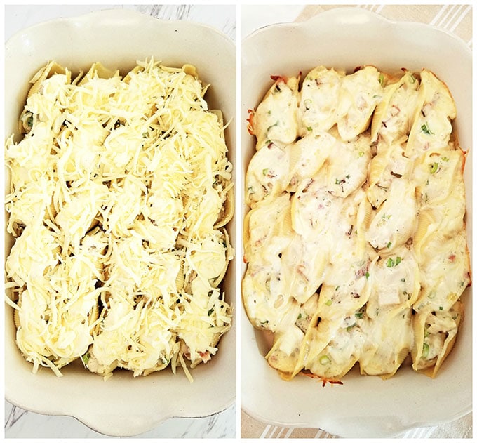 Cheesy Chicken Bacon Alfredo Stuffed Shells Recipe, chicken, comfort food, creamy and cheesy stuffed shells, easy and quick dinner, green onions, homemade Alfredo sauce, kid approved dish, kids love it, make ahead of time dinner, make ahead recipe, natural smoked bacon, stuffed shells