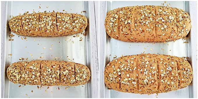 bread recipe, healthy bread, honey whole wheat bread, Multi-Grain Honey Whole Wheat Bread Recipe, organic grains, organic whole heat flour, organic whole wheat white flour, whole wheat bread