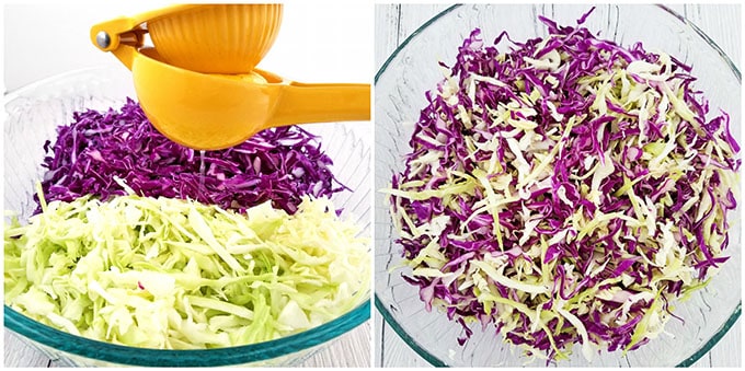 delicious, English cucumber, fresh lemon juice, green cabage, green onions, healthy, healthy eating, olive oil dressing, Red and Green Cabbage Cucumber Salad Recipe, red cabbage, sea salt, vegetarian