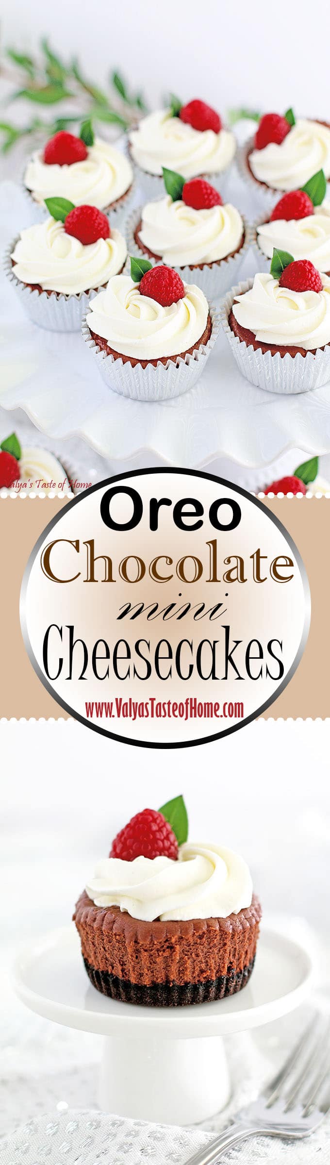 beautiful dessert, chocolate cheesecakes, chocolate mini cheesecakes, decor dessert, delicious dessert., heavy cream frosting, mini cheesecakes, Oreo Chocolate Mini Cheesecakes, Oreo cookie crust, raspberries, so good