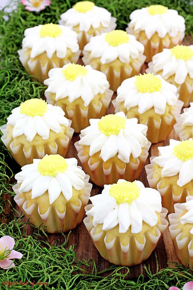 beautiful dessert, cream cheese frosting, cupcakes, daisy cupcakes, Daisy Vanilla Cupcakes, delicious, Holiday dessert, mother’s day, perfect for mother’s day, vanilla cupcakes