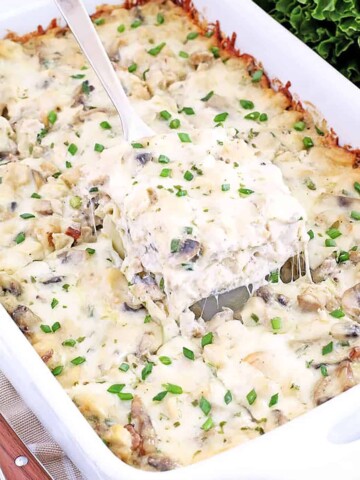 Lasagna has always been my favorite dish. I love its simplicity, versatility, and deliciousness. This mushroom lasagna recipe is quick and easy to prepare, and tastes great too.