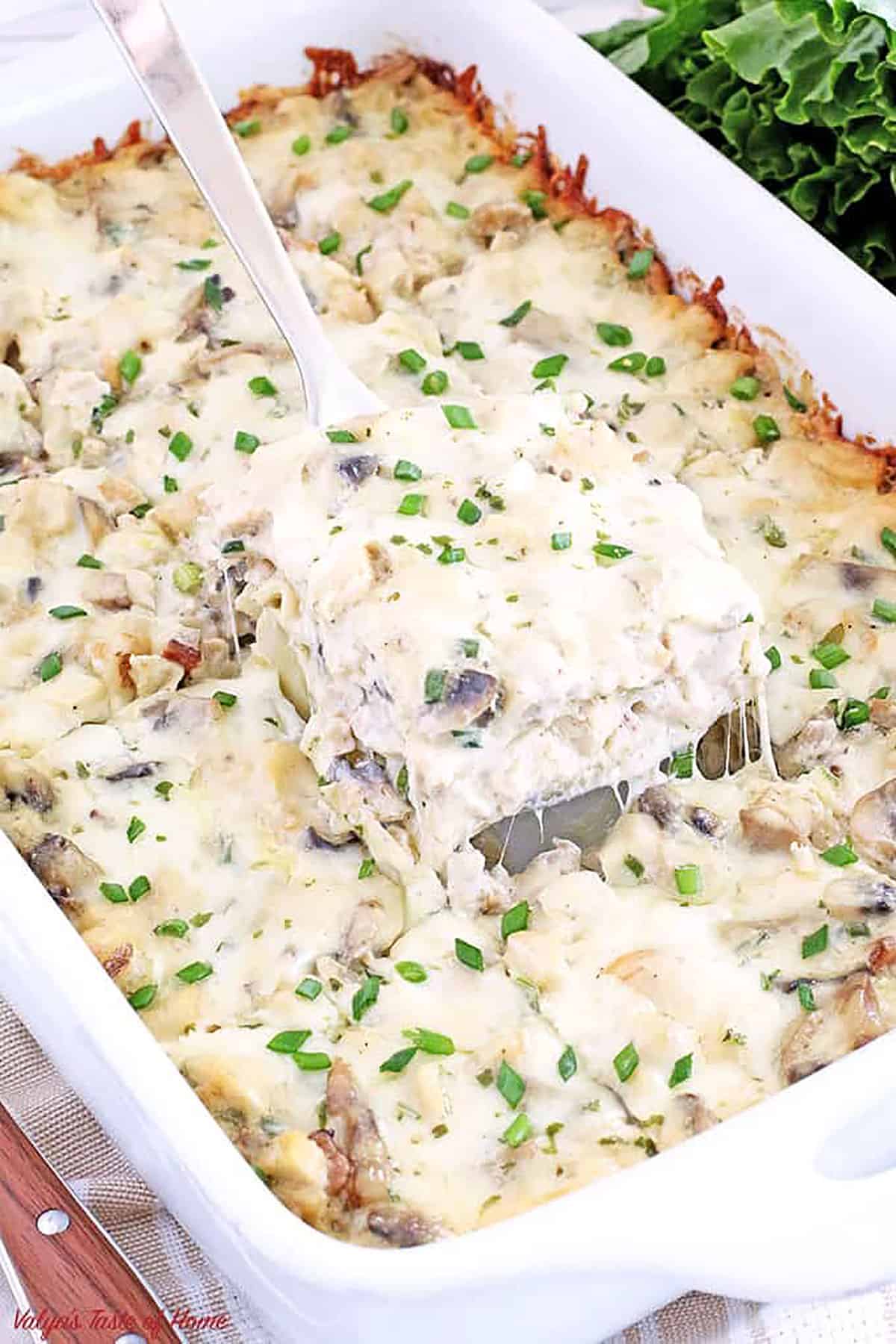 Lasagna has always been my favorite dish. I love its simplicity, versatility, and deliciousness. This mushroom lasagna recipe is quick and easy to prepare, and tastes great too.