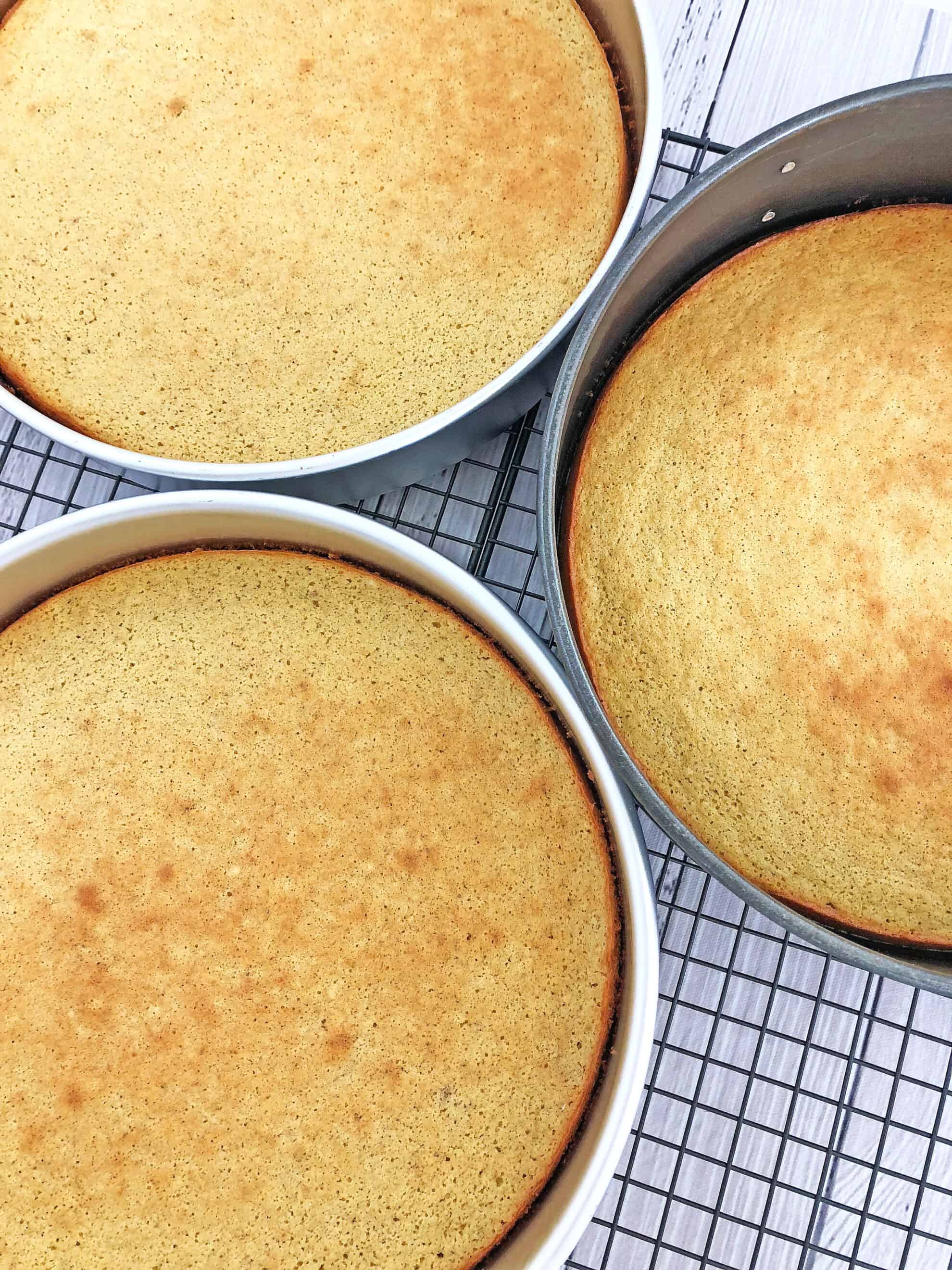 This Pumpkin Tiramisu Cake Recipe is the perfect segue into the colorful Fall season and all its delicious flavors! It is not overly sweet but is very fluffy, moist and delicious. #pumpkintiramisucake #fallbaking #easycakerecipe #valyastasteofhome