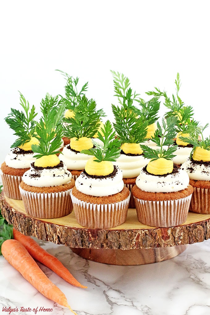 These Carrot Cupcakes with Greek Yogurt Cream Cheese Frosting are amazingly soft, light, moist, and packed with organic freshly grated carrots. Each cupcake is beautifully decorated to represent the growing carrot in the dirt.  The cream is very tasty and not sweet at all. The addition of Greek yogurt makes it taste soft and creamy, you will be licking your fingers off with every bite!