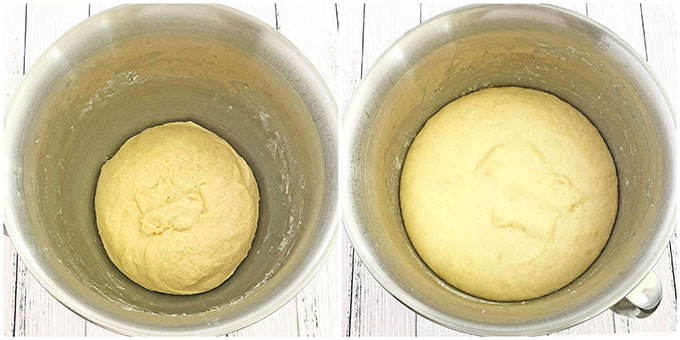 Let the dough rest and proof in a warm place for one hour (I usually preheat my oven for one minute, turn it off, then place the bowl with dough on a towel on the rack). 