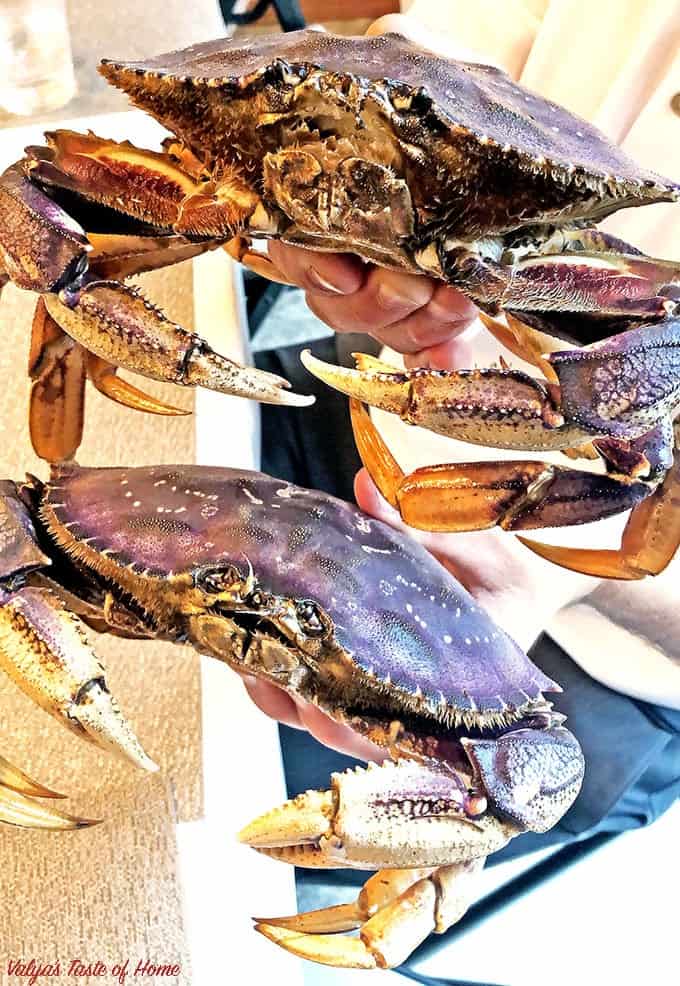 In this post, you will learn How to Cook Wild-Caught Crab Legs. Crab legs are one of the easiest delicacies you can make at home. Skip the expensive restaurant and enjoy this treat in the comfort of your home.