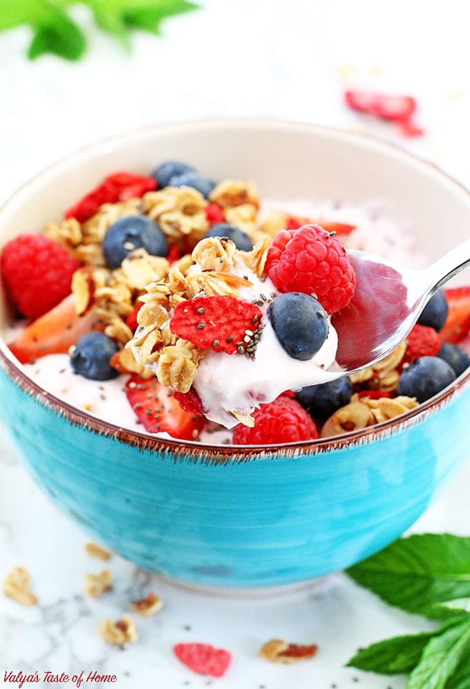 Berry Granola Greek Yogurt Bowl - Valya's Taste of Home