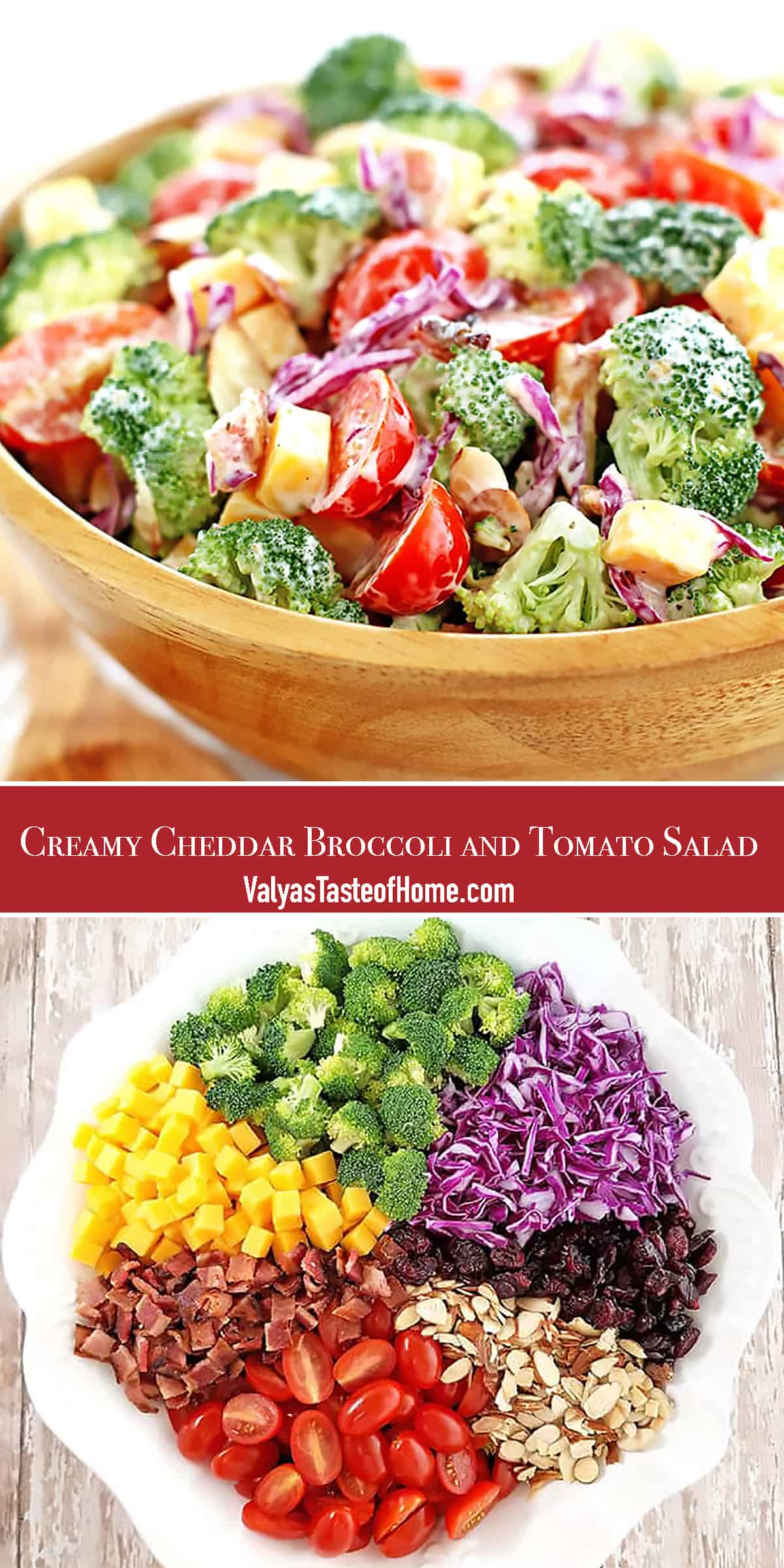 This Creamy Cheddar Broccoli and Tomato Salad Recipe is a great addition to your holiday feast or any occasion at any time of the year.