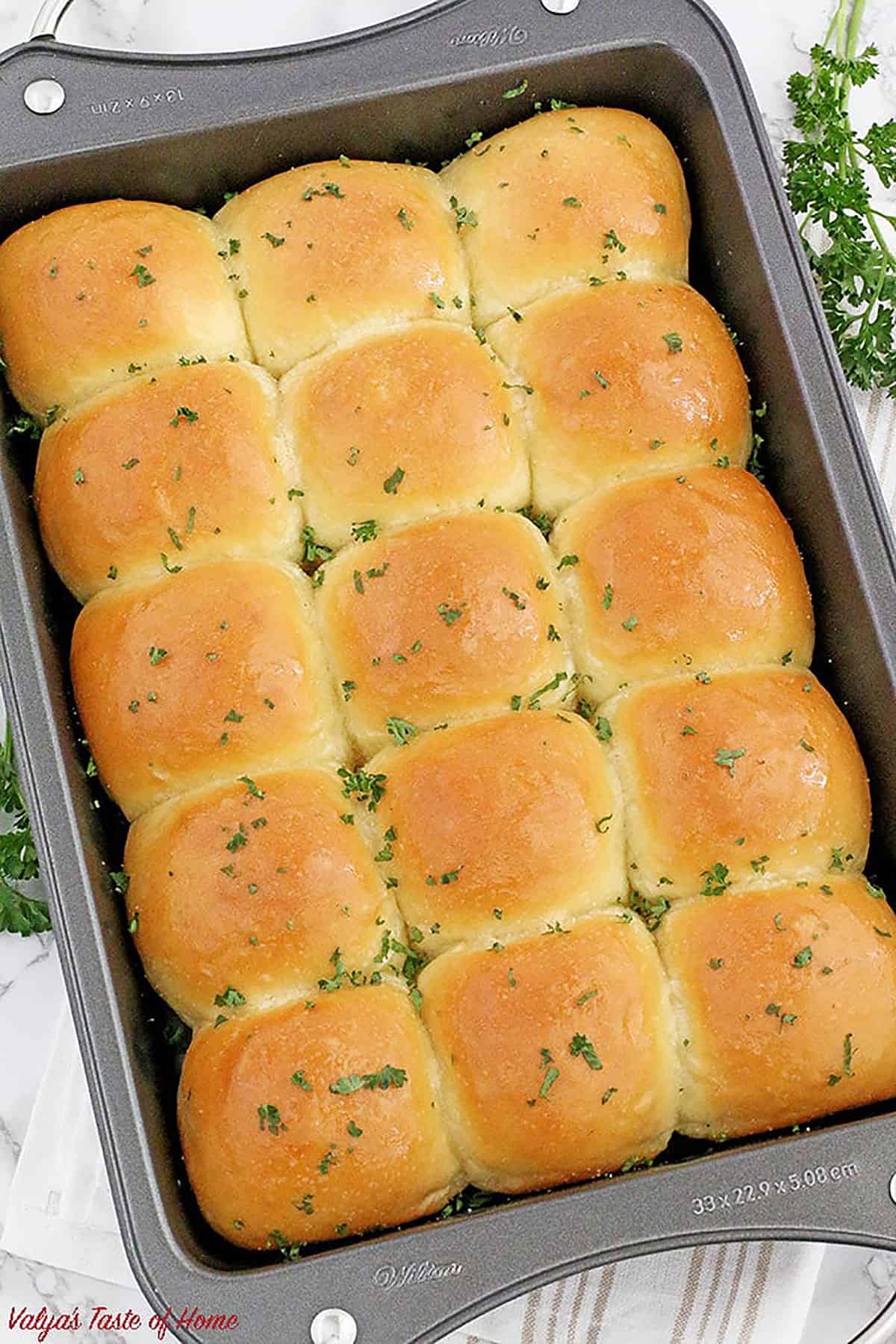 Easy Potato Rolls Recipe