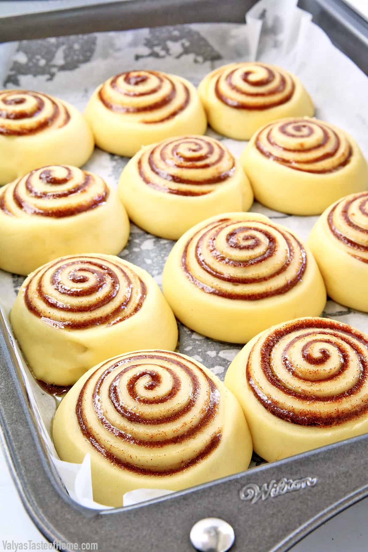 Rising the Cinnamon Rolls 