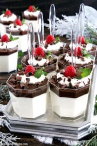 An amazingly delicious creamy mousse-like base, covered with a thin layer of cacao-jelly, topped with smooth whipping cream, and dressed with berries and shaved dark chocolate.