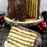 The Best Tree Stump Cake dessert, with its irresistible chocolate buttercream frosting and the beauty of a true show stopper. It's perfect for Christmas, any holiday, or a woodland theme party.