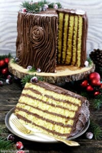 The Best Tree Stump Cake dessert, with its irresistible chocolate buttercream frosting and the beauty of a true show stopper. It's perfect for Christmas, any holiday, or a woodland theme party.