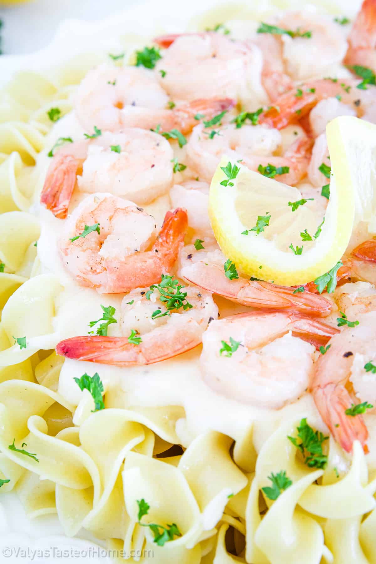 This Shrimp Alfredo Pasta is incredibly easy to make and will give you perfectly cooked shrimp in a creamy homemade Alfredo sauce, and pasta.